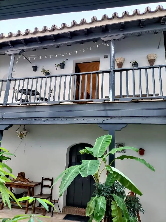 New Apartment In Traditional Building Of The XVI Century Séville